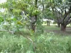 Сексуальная цыпочка со своим любимым человеком